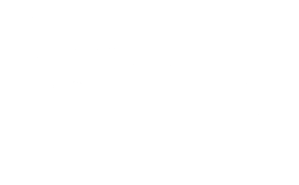 Pegasus Drone Logo